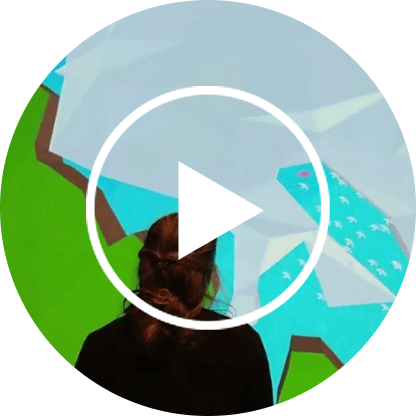 Vidéo flyingflock